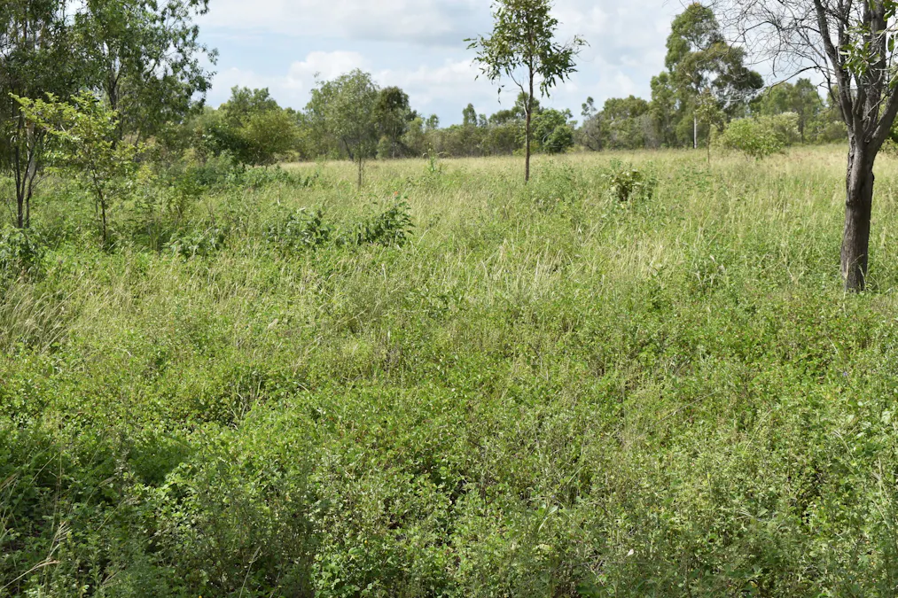 Lot 9 Bowen Developmental Road, Bowen, QLD, 4805 - Image 35
