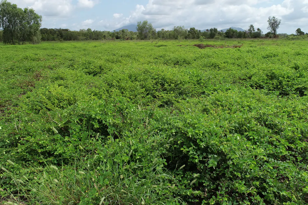 Lot 9 Bowen Developmental Road, Bowen, QLD, 4805 - Image 1