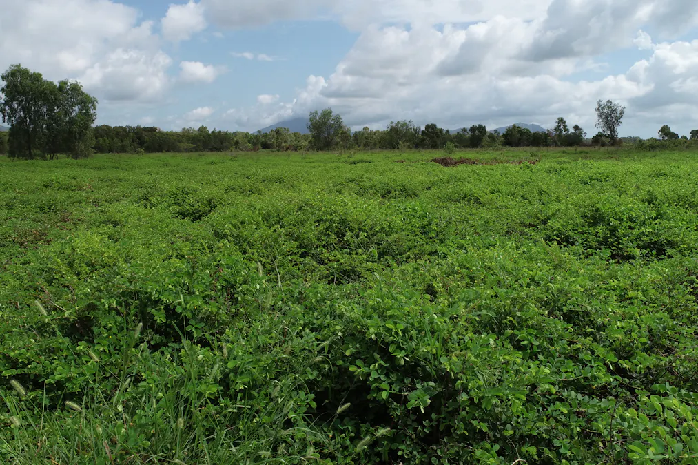 Lot 9 Bowen Developmental Road, Bowen, QLD, 4805 - Image 20