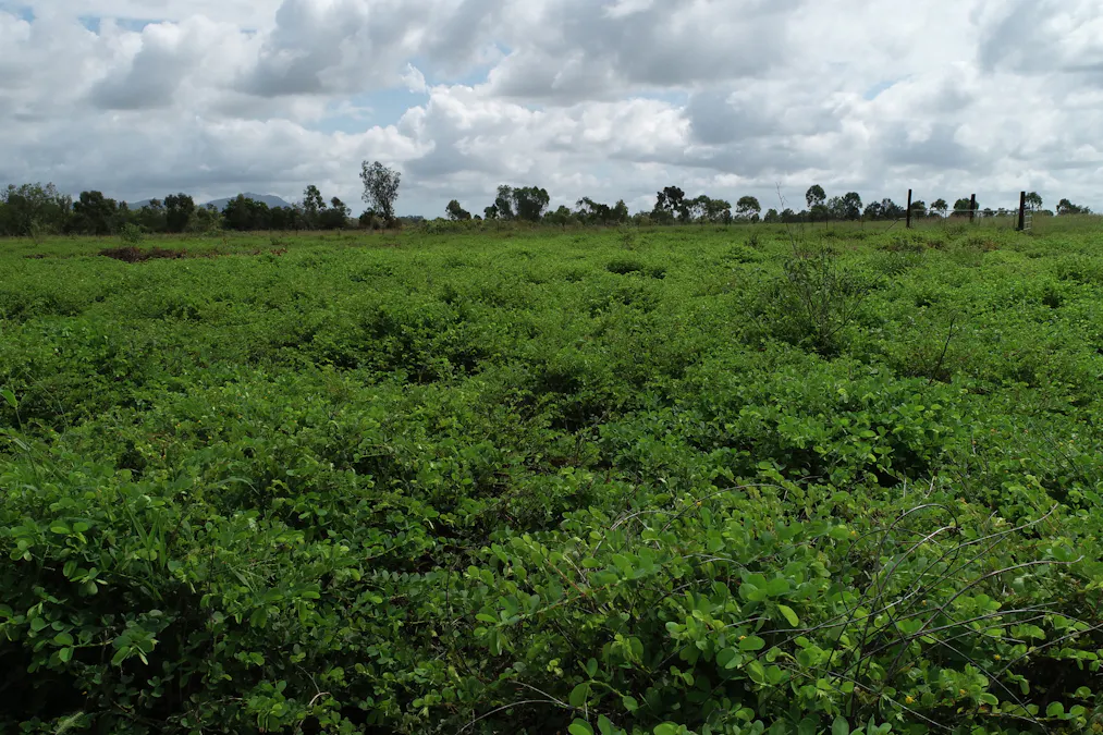 Lot 9 Bowen Developmental Road, Bowen, QLD, 4805 - Image 21