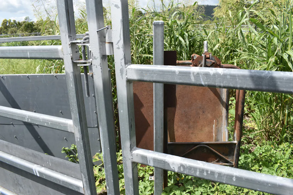 Lot 9 Bowen Developmental Road, Bowen, QLD, 4805 - Image 30