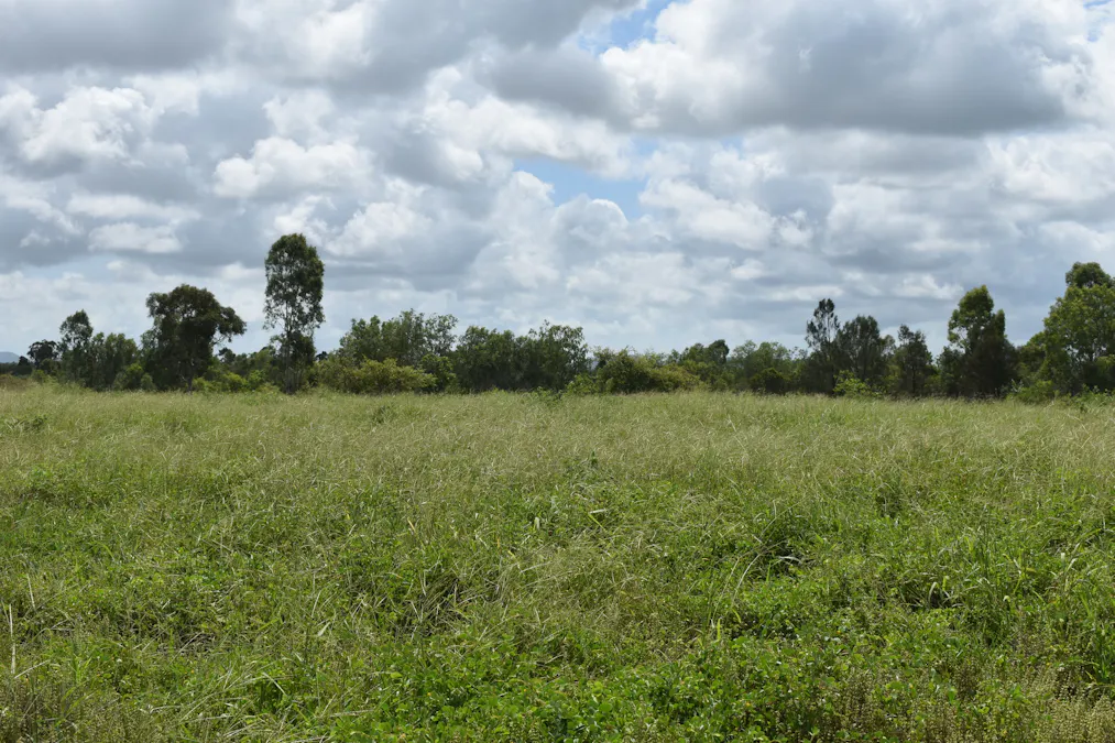 Lot 9 Bowen Developmental Road, Bowen, QLD, 4805 - Image 33