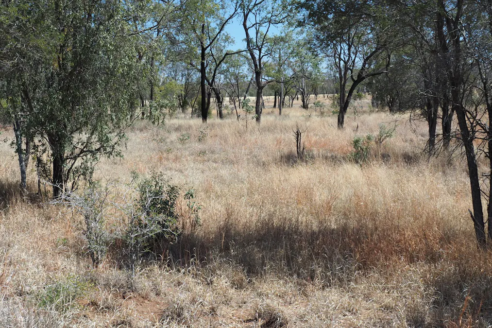 571 Dawson Developmental Road, Springsure, QLD, 4722 - Image 12