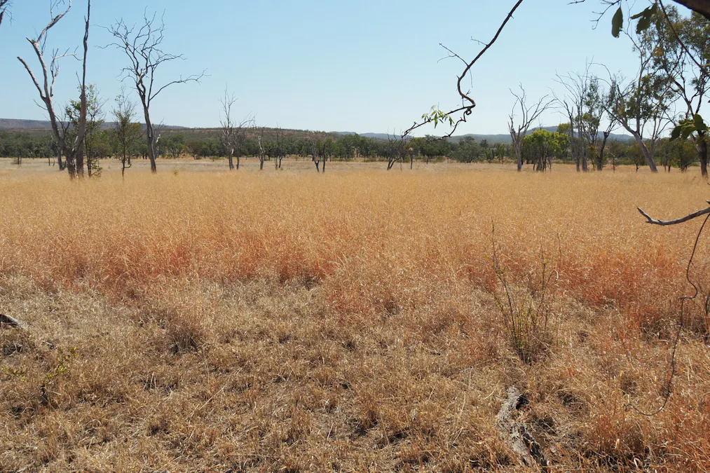 571 Dawson Developmental Road, Springsure, QLD, 4722 - Image 14