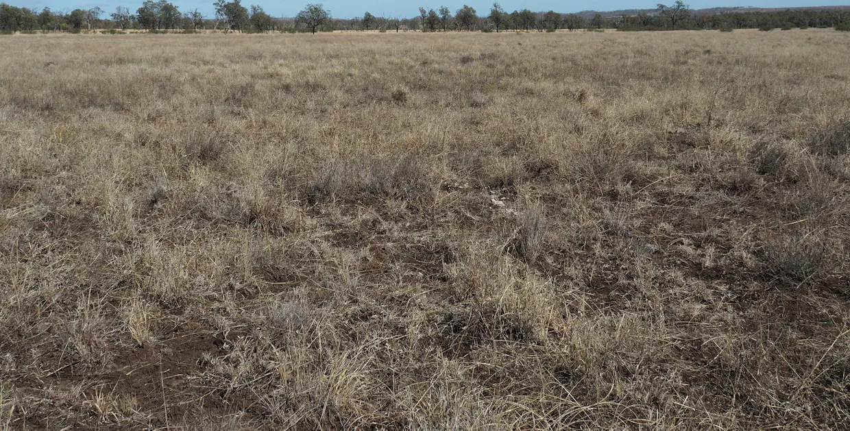 571 Dawson Developmental Road, Springsure, QLD, 4722 - Image 1