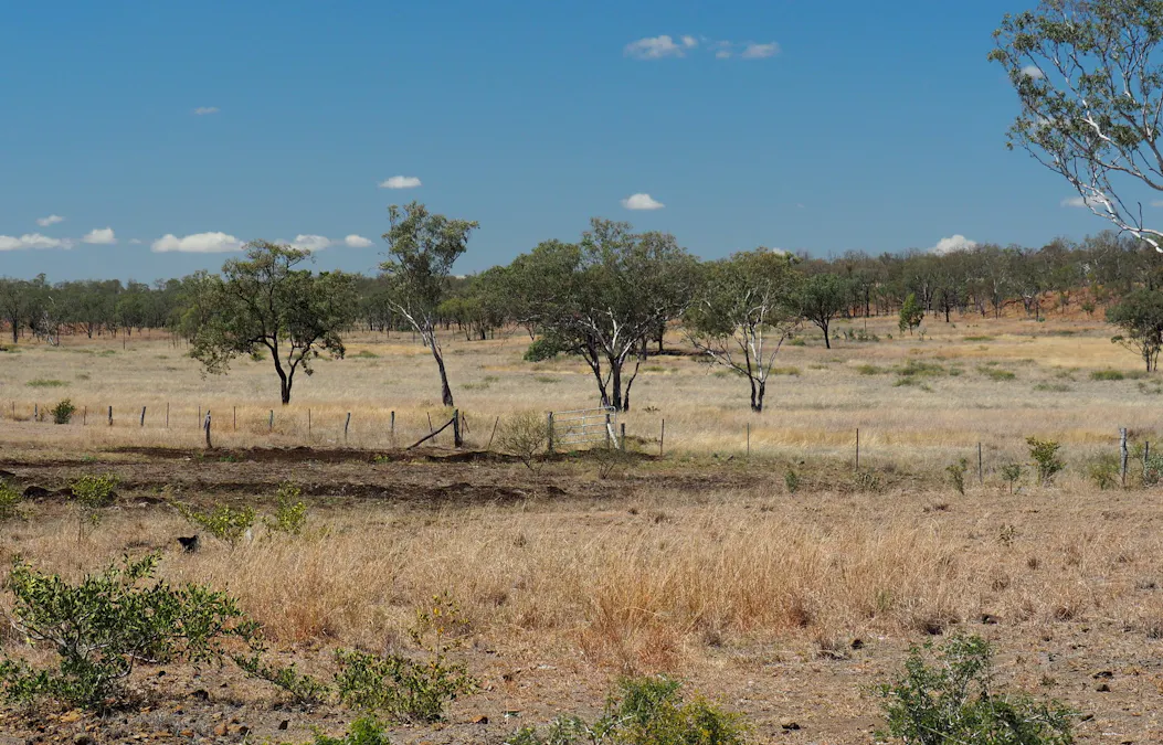 571 Dawson Developmental Road, Springsure, QLD, 4722 - Image 5