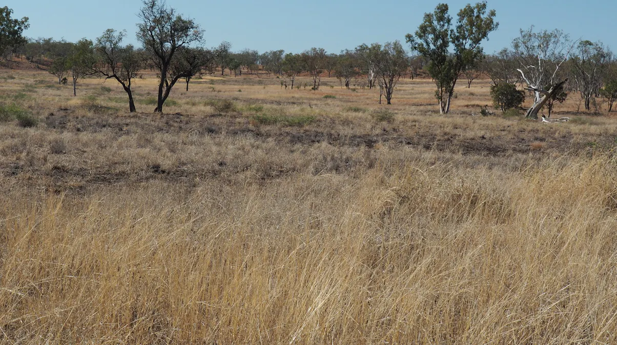 571 Dawson Developmental Road, Springsure, QLD, 4722 - Image 10