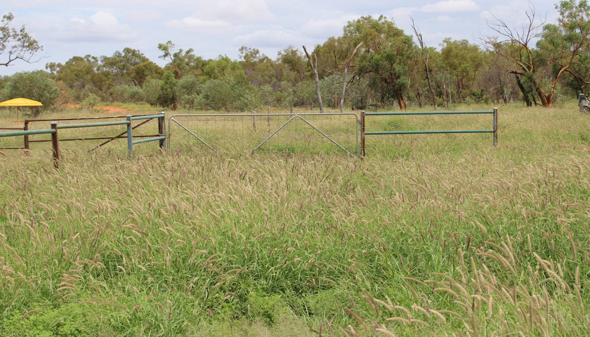 Jericho, QLD, 4728 - Image 7