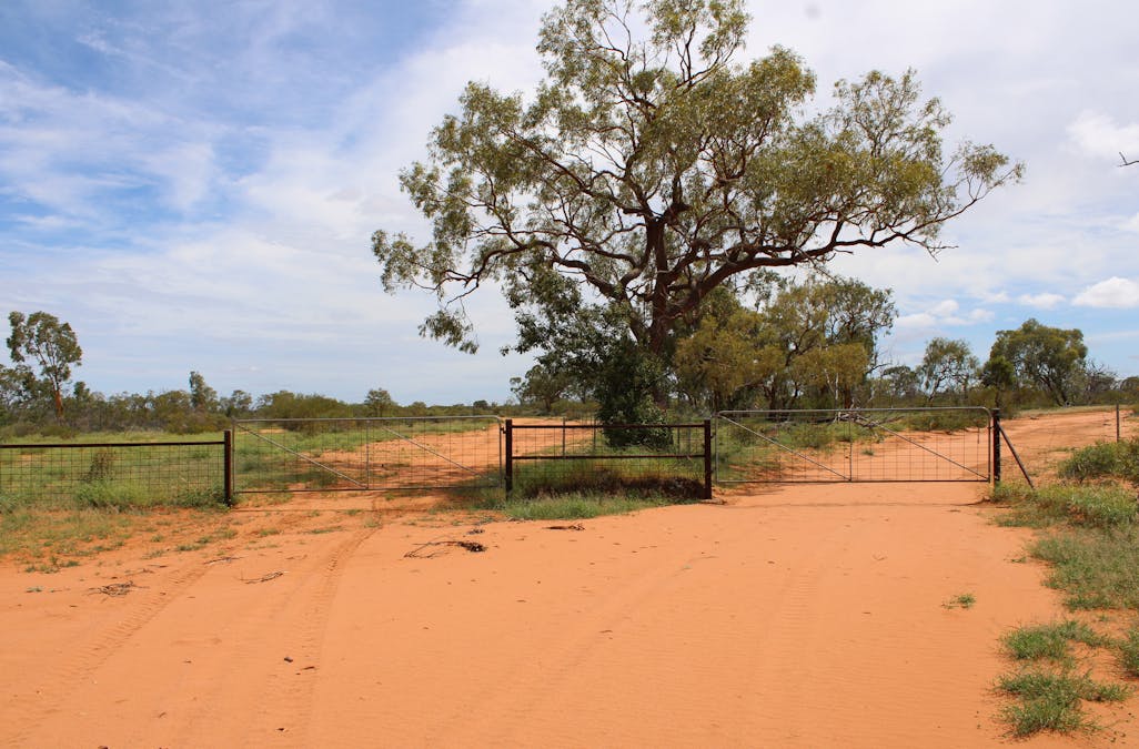 Jericho, QLD, 4728 - Image 9