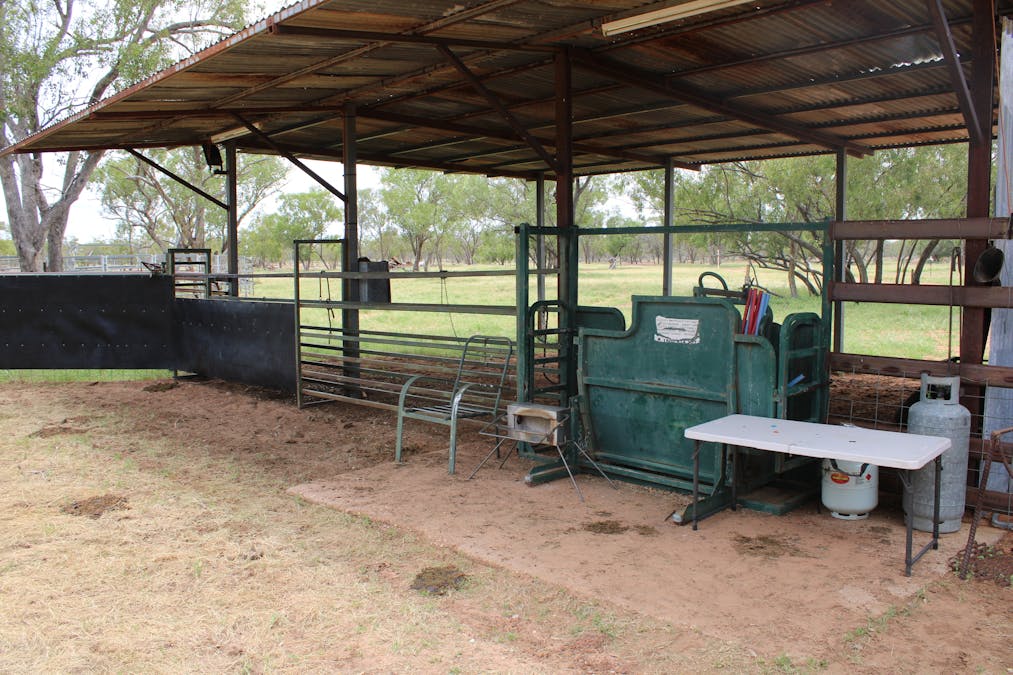 Jericho, QLD, 4728 - Image 13