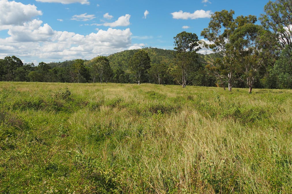 3640 Tableland Road, Diglum, QLD, 4680 - Image 10