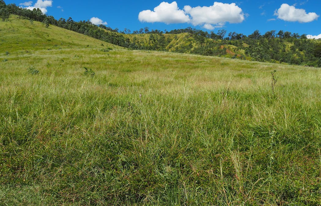 3640 Tableland Road, Diglum, QLD, 4680 - Image 11