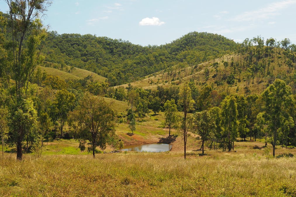 3640 Tableland Road, Diglum, QLD, 4680 - Image 14