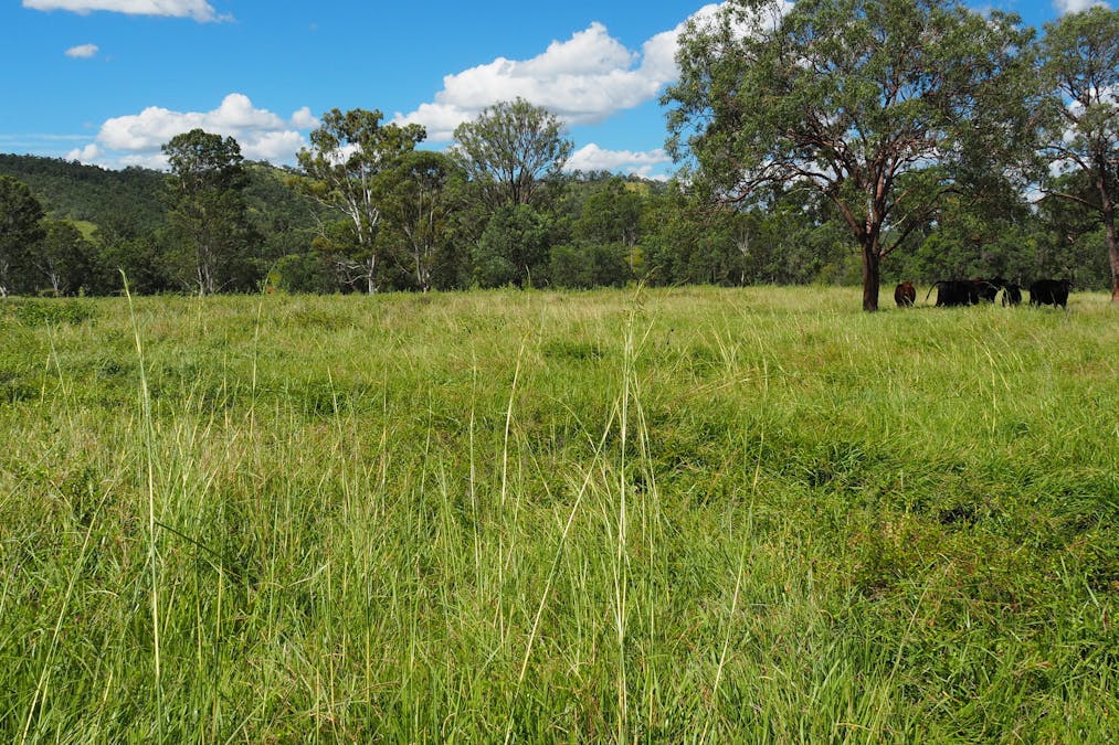 3640 Tableland Road, Diglum, QLD, 4680 - Image 15