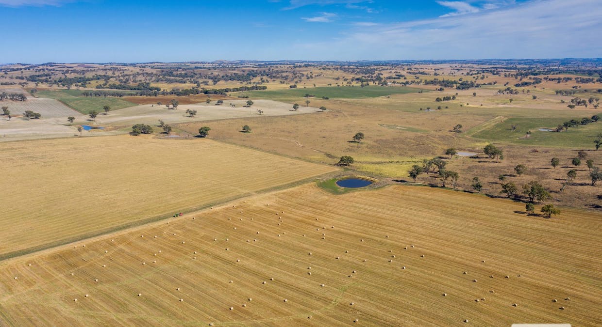 578 Beggan Beggan Road, Beggan Beggan, NSW, 2587 - Image 7