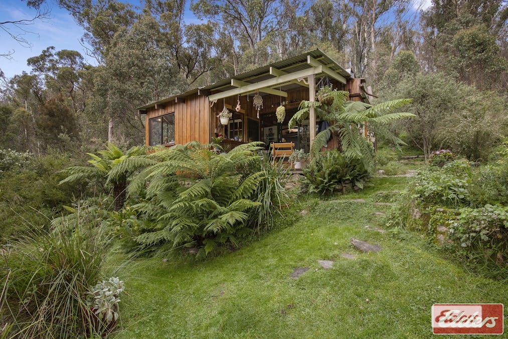 45 Point Lookout Road, Ebor, NSW, 2453 - Image 9