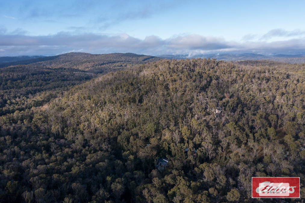 45 Point Lookout Road, Ebor, NSW, 2453 - Image 22