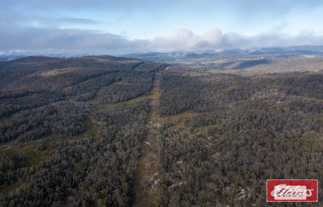 45 Point Lookout Road, Ebor, NSW, 2453 - Image 20