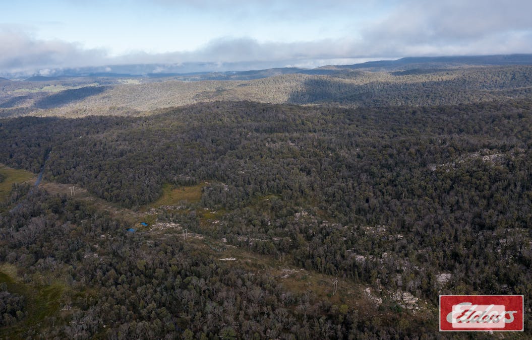 45 Point Lookout Road, Ebor, NSW, 2453 - Image 21