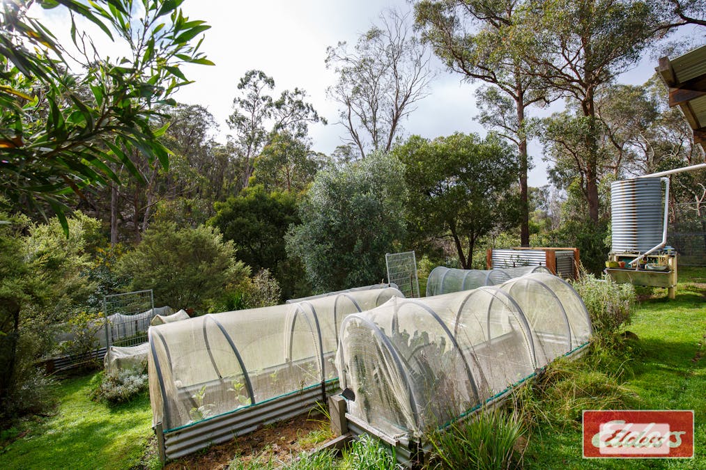 45 Point Lookout Road, Ebor, NSW, 2453 - Image 13