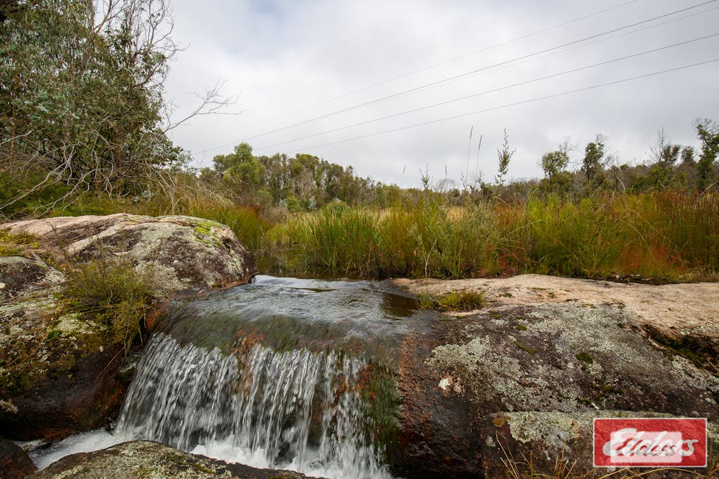 45 Point Lookout Road, Ebor, NSW, 2453 - Image 14