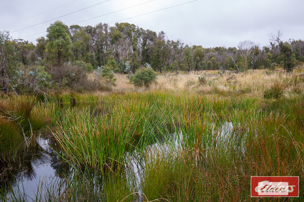 45 Point Lookout Road, Ebor, NSW, 2453 - Image 15