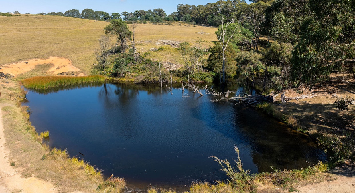 290 Ankers Road, Strathbogie, VIC, 3666 - Image 9