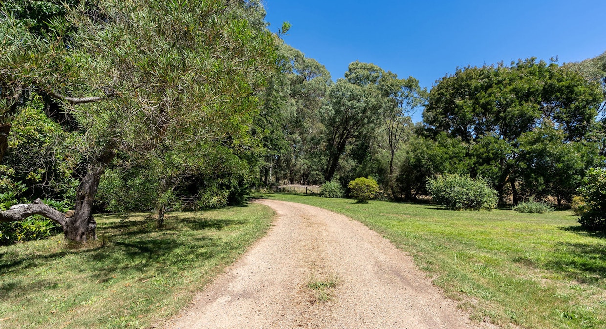 290 Ankers Road, Strathbogie, VIC, 3666 - Image 22