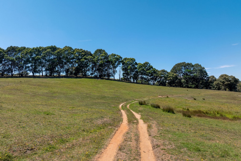 290 Ankers Road, Strathbogie, VIC, 3666 - Image 13
