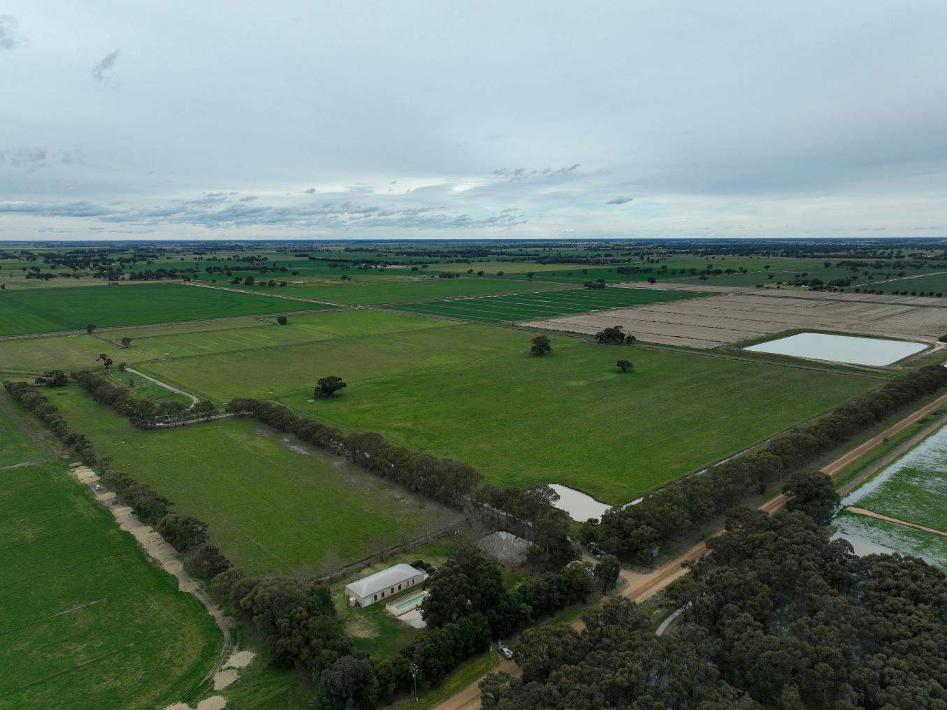 111 Fawns Road, Deniliquin, NSW, 2710 Sold Elders Real Estate