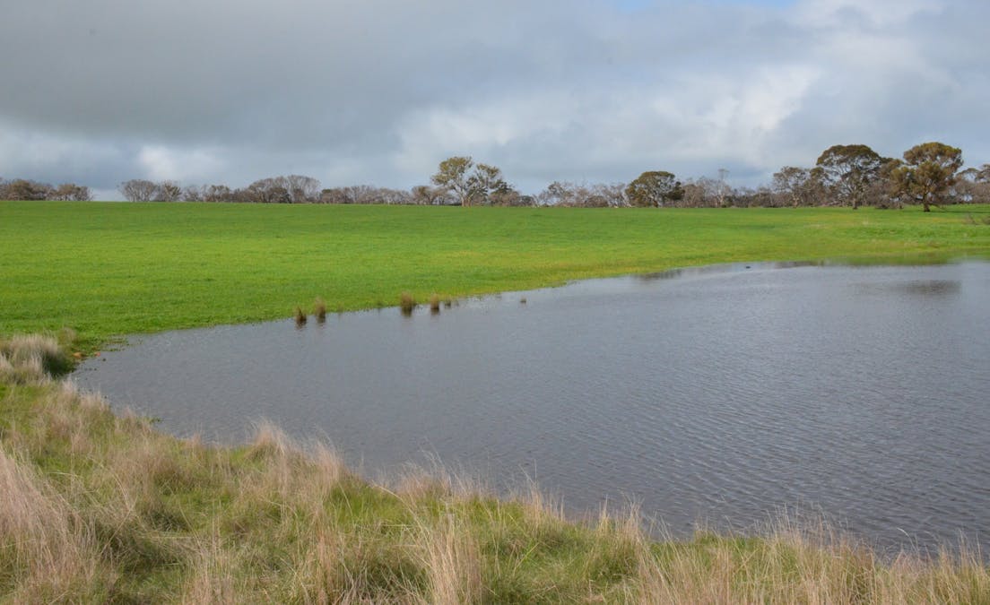 Lot 50 Millers Road, Menzies, SA, 5223 - Image 3