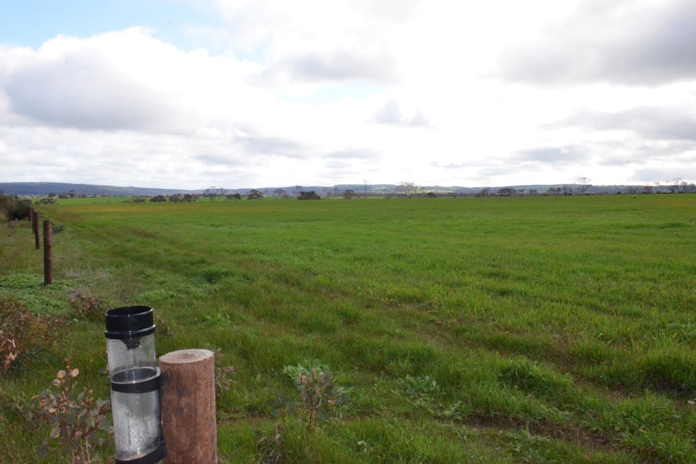 Lot 50 Millers Road, Menzies, SA, 5223 - Image 6