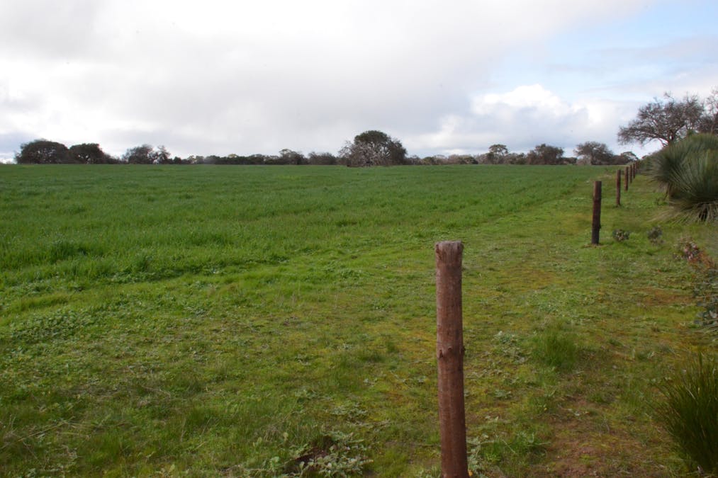 Lot 50 Millers Road, Menzies, SA, 5223 - Image 5