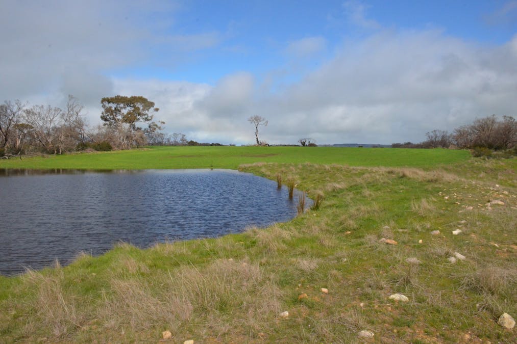 Lot 50 Millers Road, Menzies, SA, 5223 - Image 1