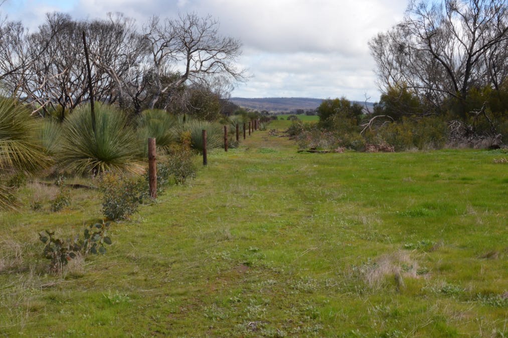 Lot 50 Millers Road, Menzies, SA, 5223 - Image 4