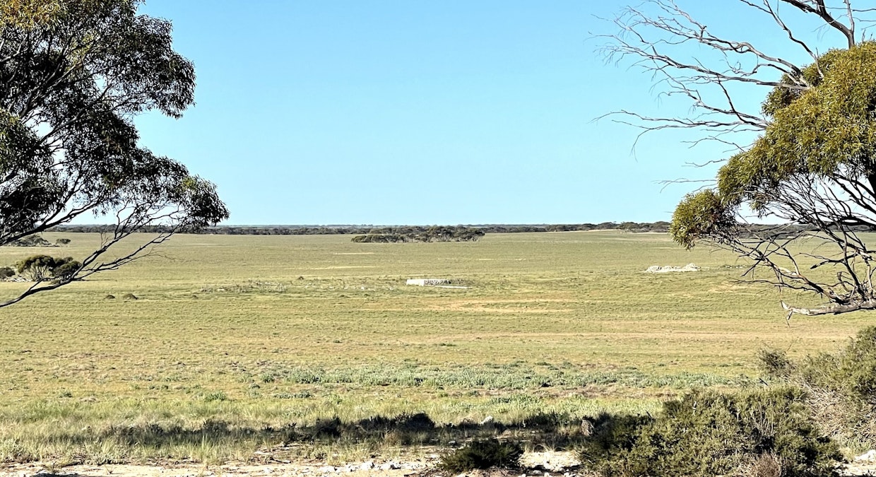 Marchant Road, Mudamuckla, SA, 5680 - Image 6
