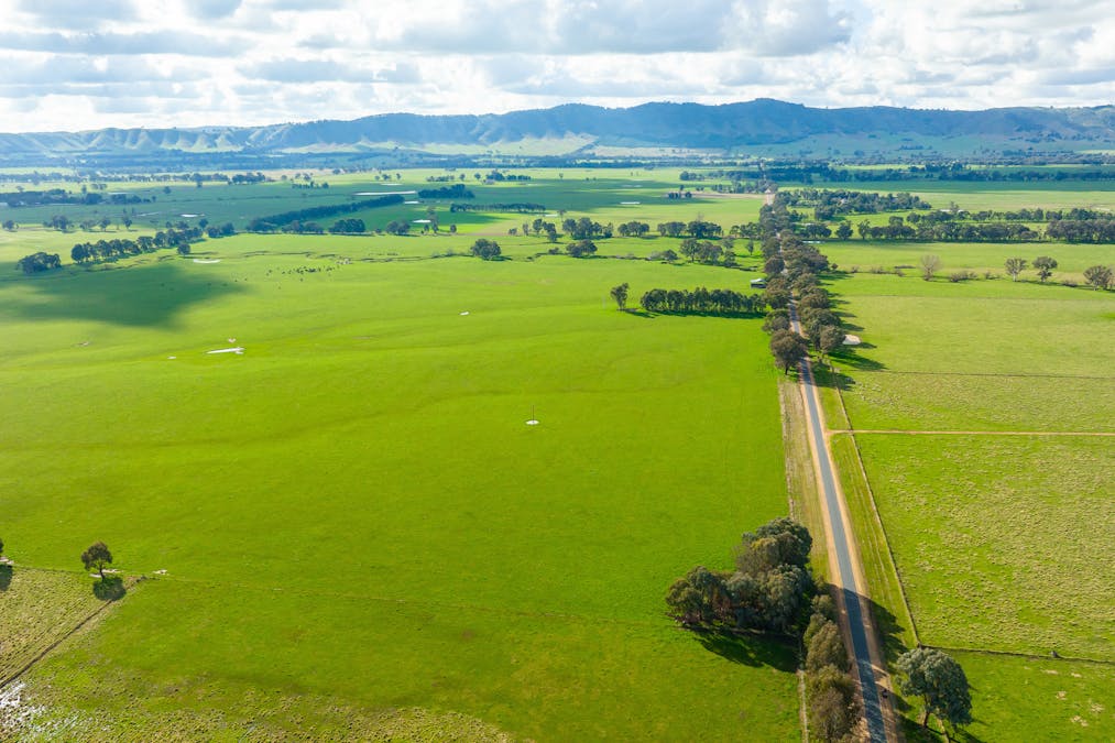12 Bobby Lane, Bowmans Forest, VIC, 3735 - Image 1