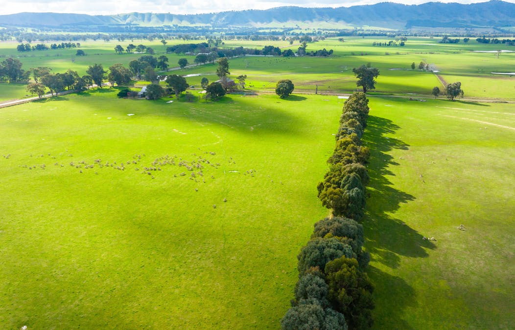 12 Bobby Lane, Bowmans Forest, VIC, 3735 - Image 5