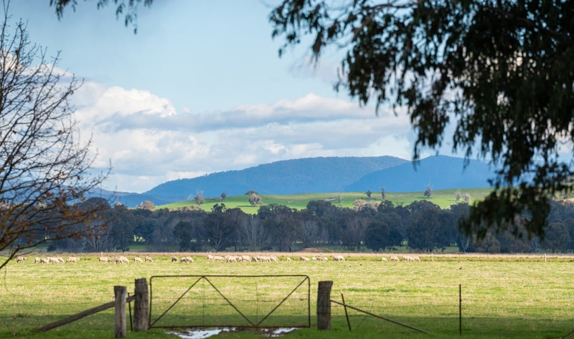 12 Bobby Lane, Bowmans Forest, VIC, 3735 - Image 8