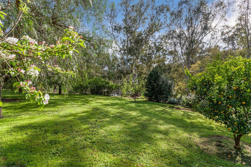 8340 Goulburn Valley Highway, Trawool, VIC, 3660 - Image 19