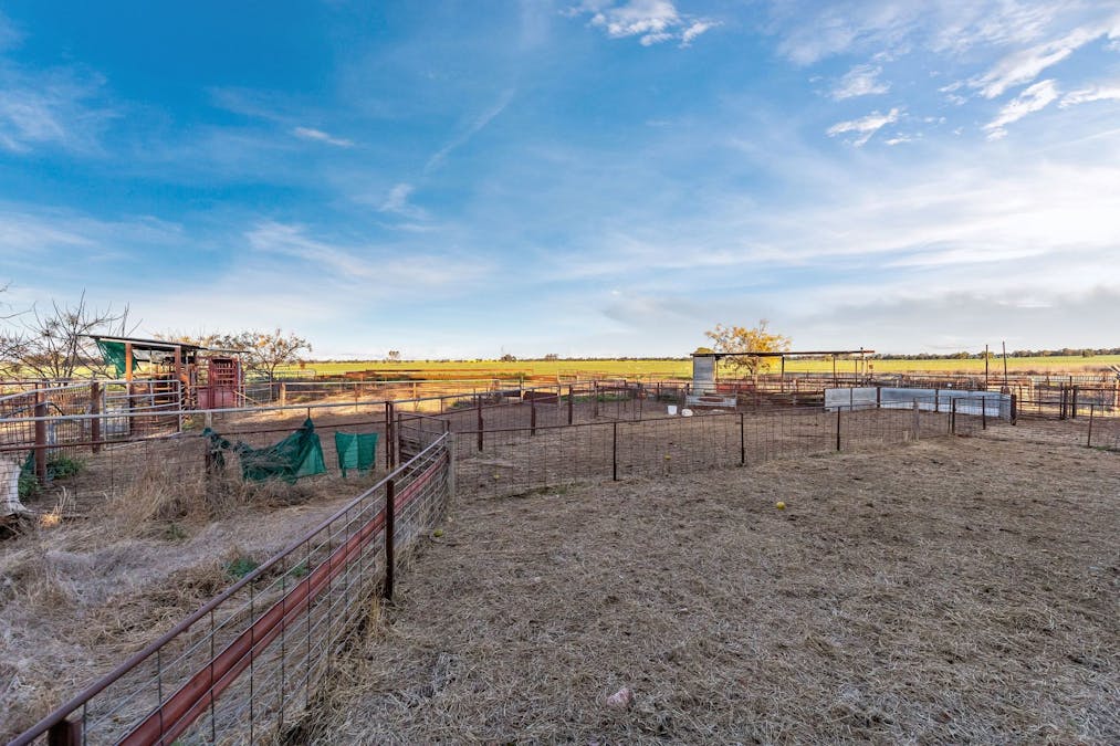 2358 Strontian Road, Narrandera, NSW, 2700 - Image 10