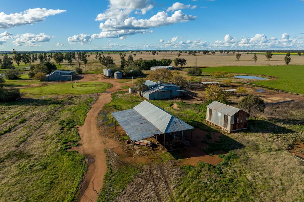 2358 Strontian Road, Narrandera, NSW, 2700 - Image 13