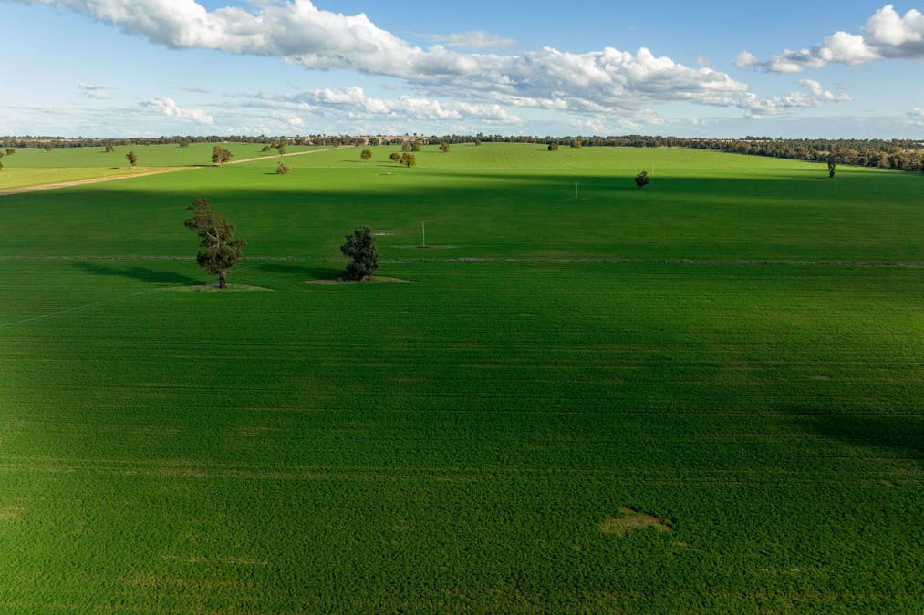 2358 Strontian Road, Narrandera, NSW, 2700 - Image 17