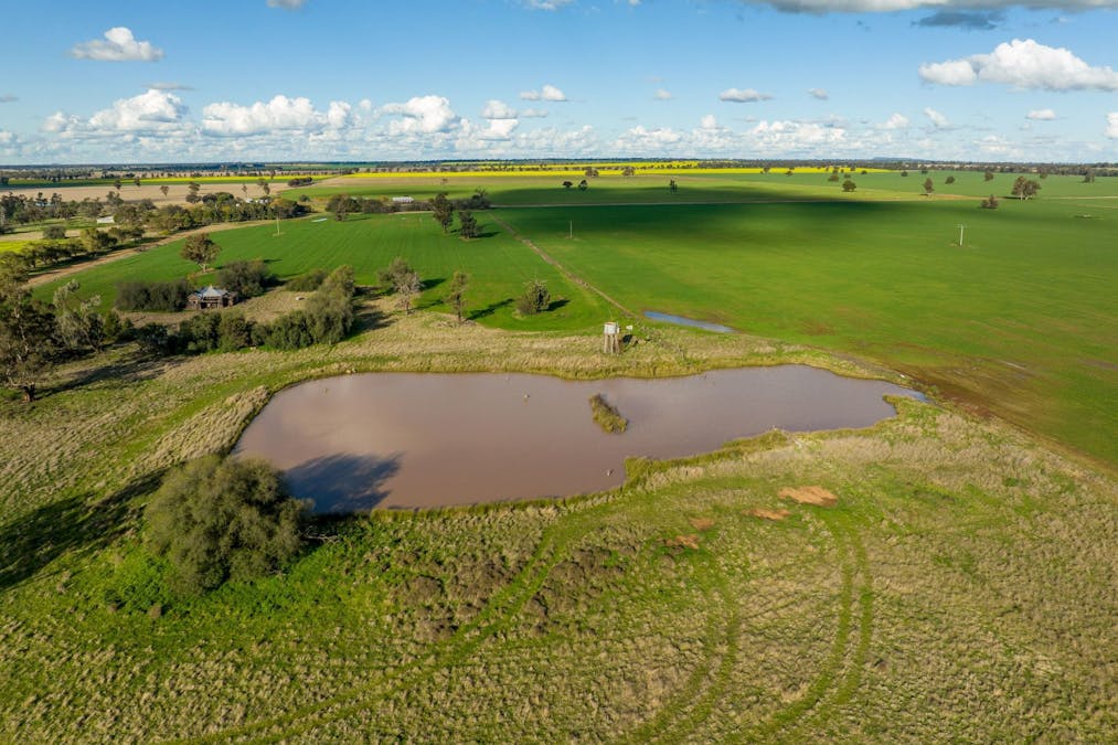 2358 Strontian Road, Narrandera, NSW, 2700 - Image 18