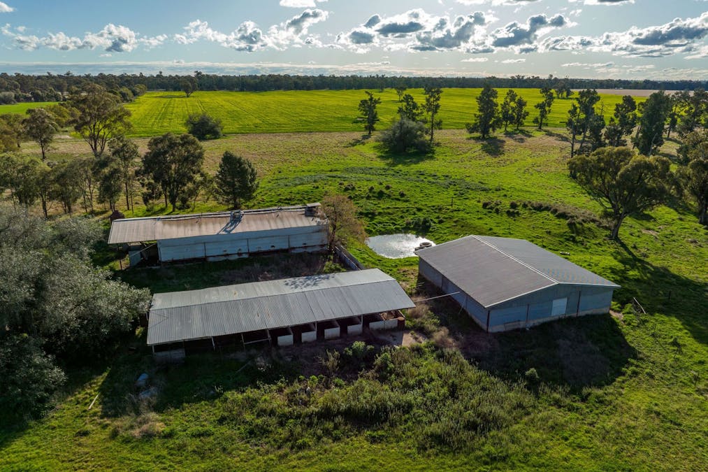 2358 Strontian Road, Narrandera, NSW, 2700 - Image 14