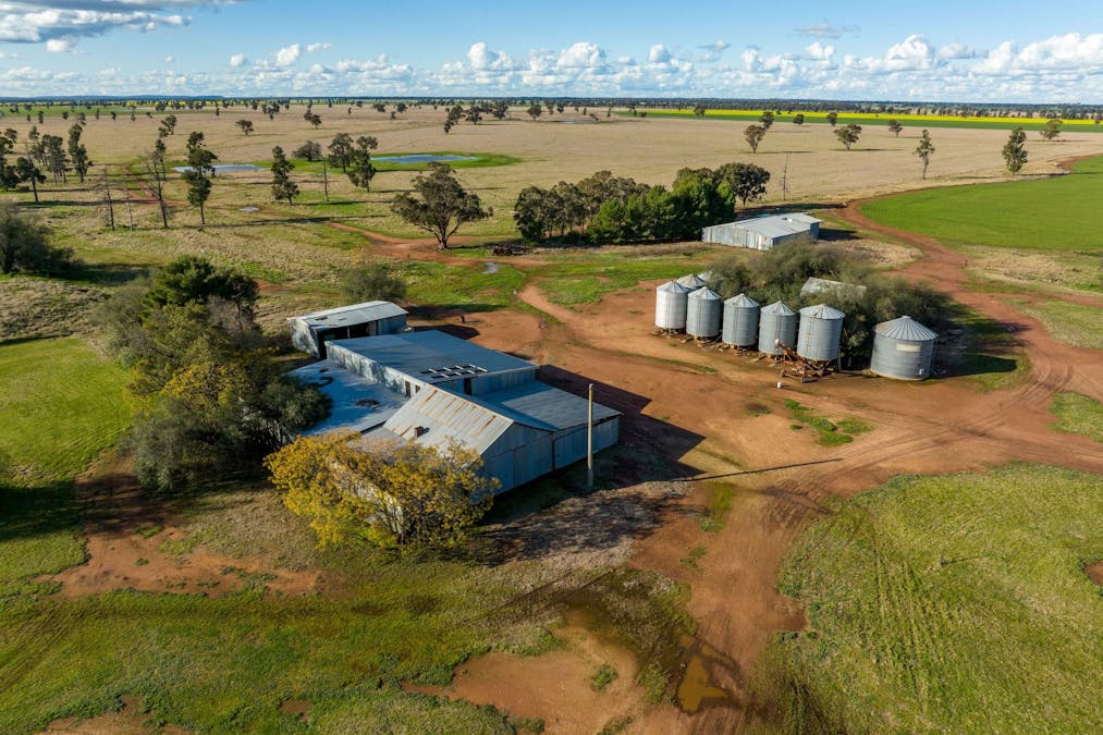2358 Strontian Road, Narrandera, NSW, 2700 - Image 15