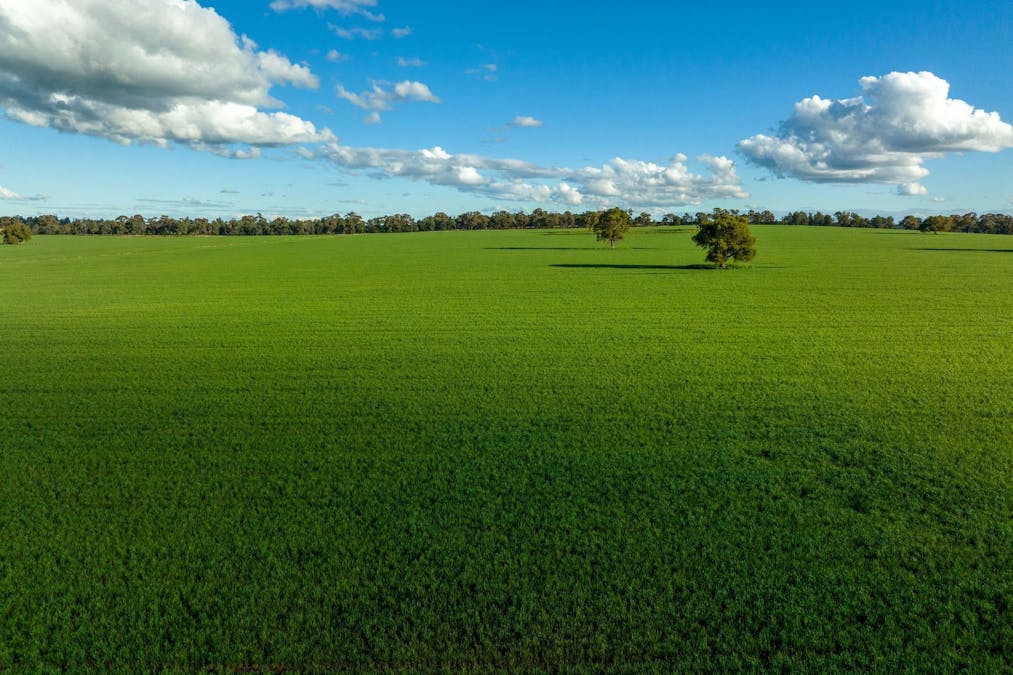 2358 Strontian Road, Narrandera, NSW, 2700 - Image 19