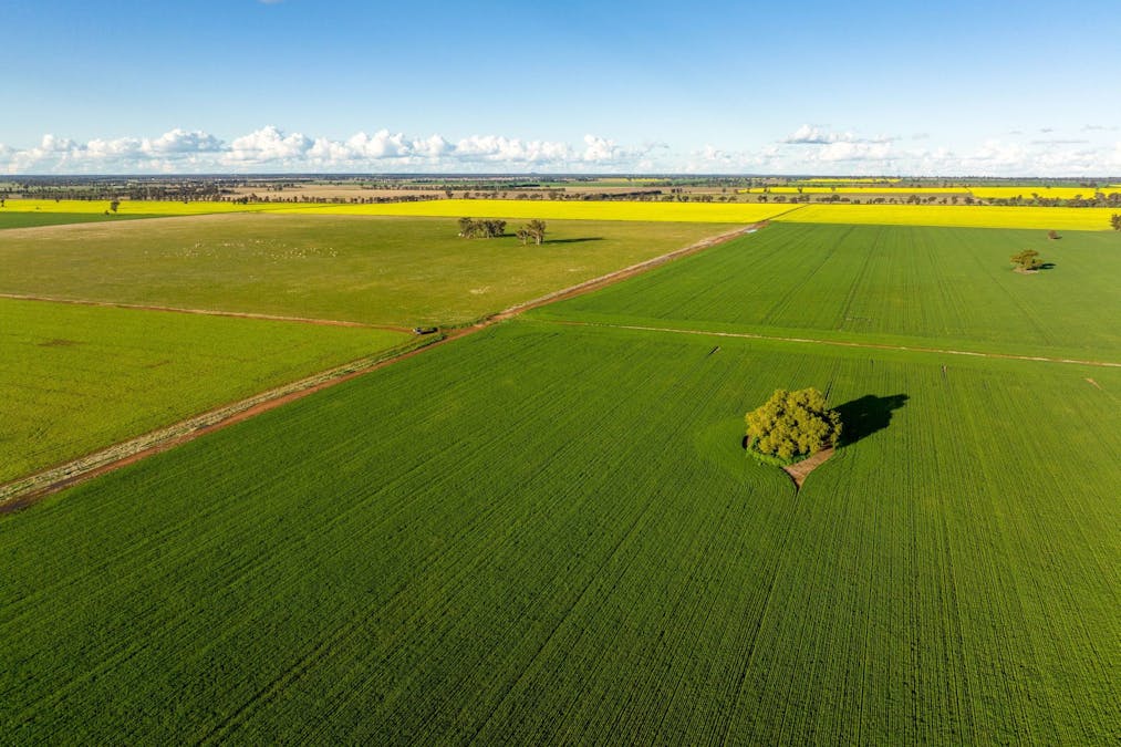 2358 Strontian Road, Narrandera, NSW, 2700 - Image 20