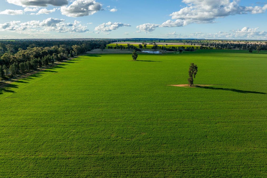 2358 Strontian Road, Narrandera, NSW, 2700 - Image 21
