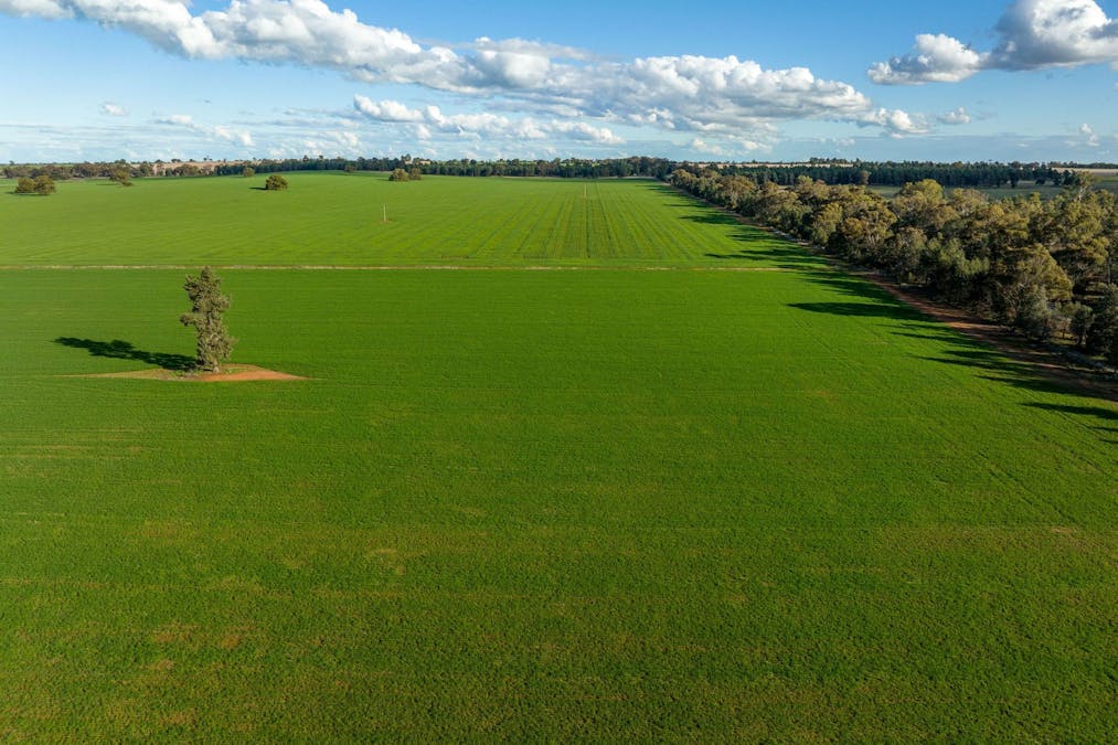 2358 Strontian Road, Narrandera, NSW, 2700 - Image 25